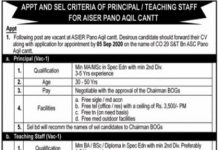 Principal ASIER Pano Aqil Cantt Jobs August 26, 2020