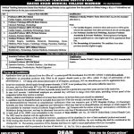 Professor Bacha Khan Medical College Mardan Jobs August 22, 2020