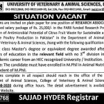 Research Associates University of Veterinary and Animal Science Lahore Job Aug 14, 2020