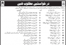 Security Supervisor Chief Minister Sectriate Balochistan Jobs August 19, 2020