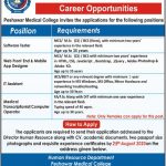 Software Tester Peshawar Medical College Jobs August 16, 2020