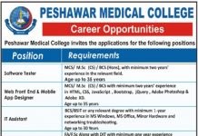 Software Tester Peshawar Medical College Jobs August 16, 2020