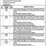 Teacher Punjab Danish Schools and Centers of Excellence Authority Sialkot Jobs August 14, 2020