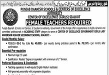 Teacher Punjab Danish Schools and Centers of Excellence Authority Sialkot Jobs August 14, 2020
