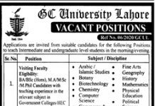 Visiting Faculty Government College University Lahore (GCUL) Jobs August 20, 2020