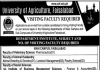Visiting Faculty University of Agriculture Faisalabad Jobs August 13, 2020