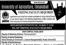 Visiting Faculty University of Agriculture Faisalabad Jobs August 13, 2020
