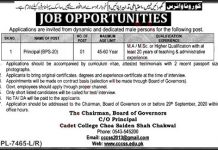 Jobs in adet College Choa Saiden Shah for Principal 02 September, 2020