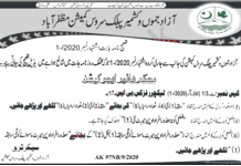 Jobs in AJKPSC Higher Education Department for Lecturer 30 September, 2020