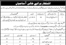 Jobs in Assistant Deputy Commissioner DC Bannu 08 September, 2020