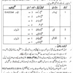 Jobs in Buildings Circle Sargodha for Supervisor 30 September, 2020
