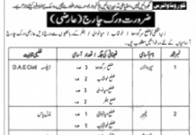 Jobs in Buildings Circle Sargodha for Supervisor 30 September, 2020