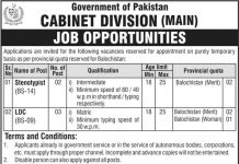 Jobs in Cabinet Division Islamabad for Stenotypist 24 September, 2020