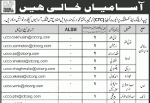 Jobs in CHIP Training & Consulting CTC KPK 24 September, 2020