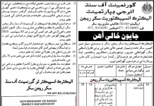 Jobs in Electric Inspector Sukkur Region for Drivers 04 September, 2020