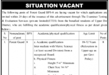Jobs in Forest Department Upper Dir Forest Division 08 September, 2020
