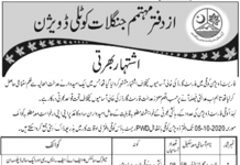 Jobs in Forest Division Kotli for Forest Guards 14 September, 2020