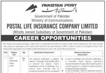 Jobs in Ministry of Communication Postal Life Insurance 26 September, 2020