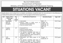 Jobs in Ministry of Federal Education & Professional Training 04 September, 2020