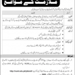 Jobs in National University of Modern Languages NUML 28 September, 2020