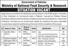 Jobs in Pakistan Oilseed Development Board PODB Islamabad 25 September, 2020