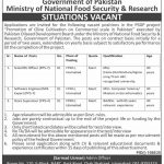 Jobs in PSDP Pakistan Oilseed Development Board PODB Islamabad 26 September, 2020