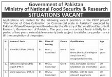 Jobs in PSDP Pakistan Oilseed Development Board PODB Islamabad 26 September, 2020