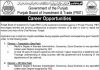 Jobs in Punjab Board of Investment & Trade PBIT Lahore 25 September, 2020
