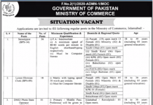 Jobs in Stenotypist in Ministry of Commerce Islamabad 14 September, 2020