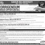 Jobs in Sukkur IBA University for Directors 10 September, 2020