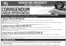 Jobs in Sukkur IBA University for Directors 10 September, 2020