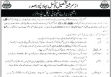 Jobs in Tehsil Council Bahawalpur Saddar Legal Advisor 21 September, 2020