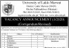 Jobs in University of Lakki Marwat ULM Assistant Professor 30 September, 2020