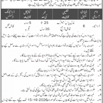 Jobs in WAPDA Dasu Hydropower Project Kohistan 19 September, 2020