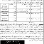 Jobs in Workers Welfare Board Balochistan for Naib Qasid 24 September, 2020