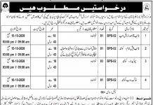 Jobs in Workers Welfare Board Balochistan for Naib Qasid 24 September, 2020