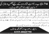 Jobs in 74 Punjab Regiment Shahdara Lahore Mess Waiter 03 October, 2020