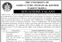 Jobs in Agriculture University Peshawar AUP for Engineer 01 October, 2020