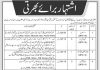 Jobs in Assistant & Muhrer Deputy Commissioner DC Kolai Pallas 03 October, 2020