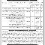 Jobs in Assistant & Muhrer Deputy Commissioner DC Kolai Pallas 03 October, 2020