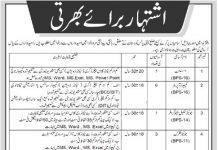 Jobs in Assistant & Muhrer Deputy Commissioner DC Kolai Pallas 03 October, 2020