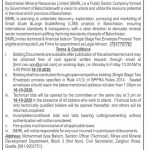 Jobs in Balochistan Mineral Resource Limited BMRL Quetta 01 October, 2020