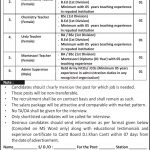 Jobs in Cantt Public High School DI Khan Cantt for Teacher 29 October, 2020