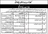 Jobs in Cantt Public High School & Girls Colles Multan 14 October, 2020