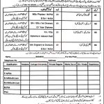 Jobs in Cantt Public High School & Girls Colles Multan 14 October, 2020