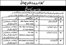 Jobs in Cantt Public High School & Girls Colles Multan 14 October, 2020