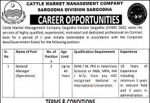 Jobs in Cattle Market Management Company CMMC Sargodha 17 October, 2020