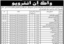 Jobs in Community Midwife in Health Department Shikarpur 09 October, 2020