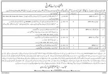 Jobs in Deputy Commissioner DC Kolai Pallas Kohistan 02 October, 2020