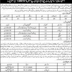 Jobs in Deputy Commissioner DC Sheikhupura for Drivers 08 October, 2020